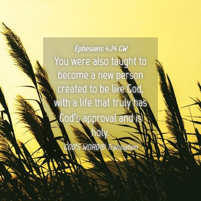 Picture 04 - Ephesians 4:24 GW - You were also taught to become a new person - Bible Verse Picture