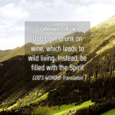 Picture 04 - Ephesians 5:18 GW - Don’t get drunk on wine, which leads to wild - Bible Verse Picture