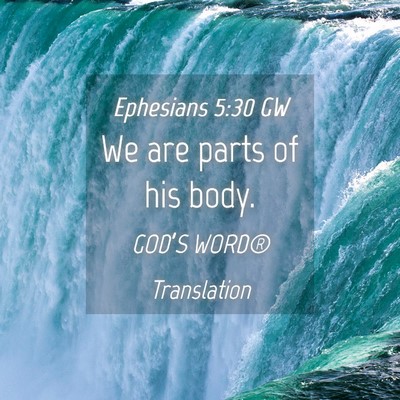 Picture 04 - Ephesians 5:30 GW - We are parts of his - Bible Verse Picture