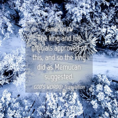 Picture 04 - Esther 1:21 GW - The king and his officials approved of this, and - Bible Verse Picture