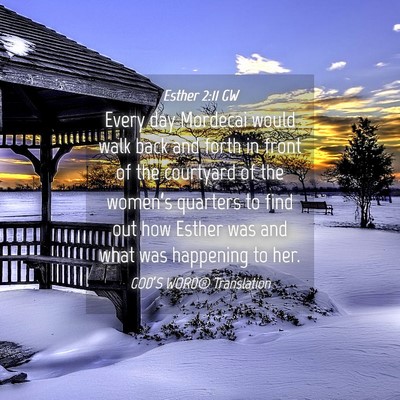 Picture 04 - Esther 2:11 GW - Every day Mordecai would walk back and forth in - Bible Verse Picture