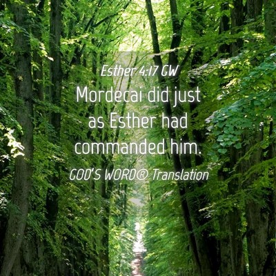 Picture 04 - Esther 4:17 GW - Mordecai did just as Esther had commanded - Bible Verse Picture