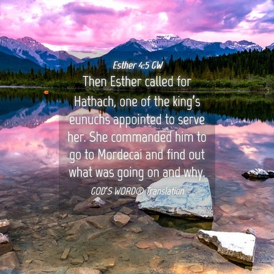 Picture 04 - Esther 4:5 GW - Then Esther called for Hathach, one of the - Bible Verse Picture