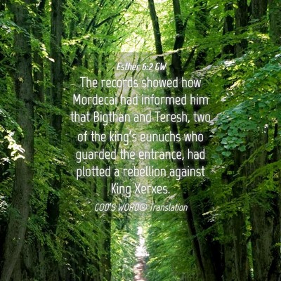 Picture 04 - Esther 6:2 GW - The records showed how Mordecai had informed him - Bible Verse Picture