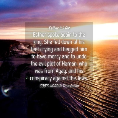 Picture 04 - Esther 8:3 GW - Esther spoke again to the king. She fell down at - Bible Verse Picture