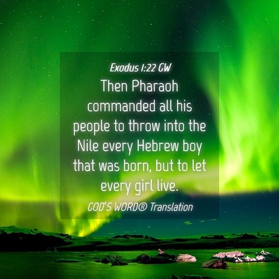 Picture 04 - Exodus 1:22 GW - Then Pharaoh commanded all his people to throw - Bible Verse Picture