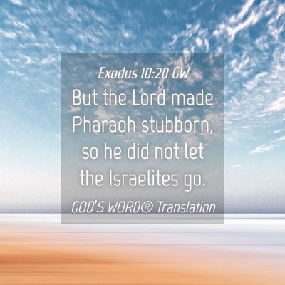 Picture 04 - Exodus 10:20 GW - But the Lord made Pharaoh stubborn, so he did not - Bible Verse Picture