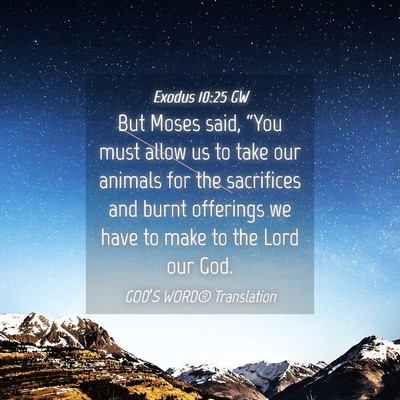 Picture 04 - Exodus 10:25 GW - But Moses said, “You must allow us to take our - Bible Verse Picture