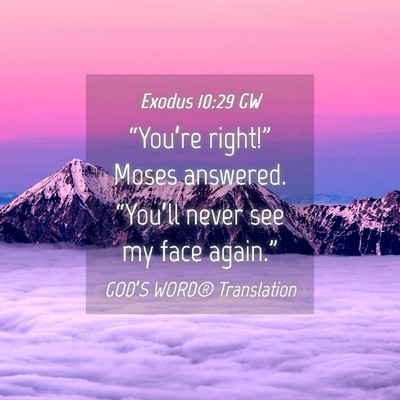 Picture 04 - Exodus 10:29 GW - “You’re right!” Moses answered. “You’ll - Bible Verse Picture