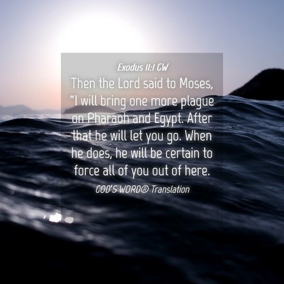 Picture 04 - Exodus 11:1 GW - Then the Lord said to Moses, “I will bring one - Bible Verse Picture