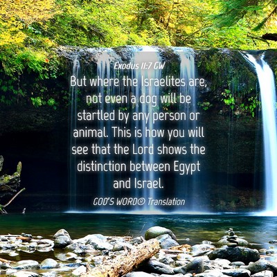 Picture 04 - Exodus 11:7 GW - But where the Israelites are, not even a dog will - Bible Verse Picture