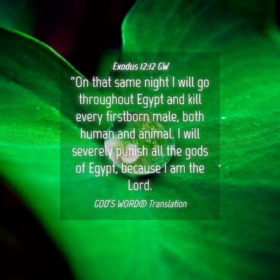 Picture 04 - Exodus 12:12 GW - “On that same night I will go throughout Egypt - Bible Verse Picture