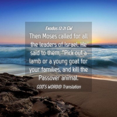 Picture 04 - Exodus 12:21 GW - Then Moses called for all the leaders of Israel. - Bible Verse Picture