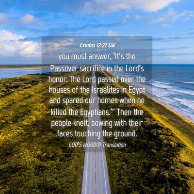 Picture 04 - Exodus 12:27 GW - you must answer, ‘It’s the Passover sacrifice - Bible Verse Picture