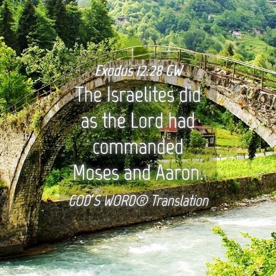 Picture 04 - Exodus 12:28 GW - The Israelites did as the Lord had commanded - Bible Verse Picture