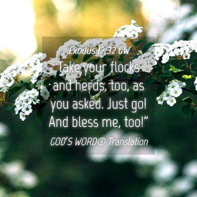 Picture 04 - Exodus 12:32 GW - Take your flocks and herds, too, as you asked. - Bible Verse Picture