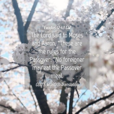 Picture 04 - Exodus 12:43 GW - The Lord said to Moses and Aaron, “These are - Bible Verse Picture