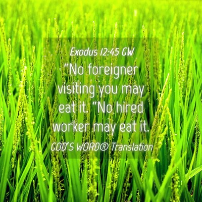 Picture 04 - Exodus 12:45 GW - “No foreigner visiting you may eat it. “No - Bible Verse Picture