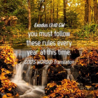 Picture 04 - Exodus 13:10 GW - you must follow these rules every year at this - Bible Verse Picture