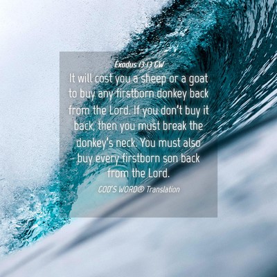 Picture 04 - Exodus 13:13 GW - It will cost you a sheep or a goat to buy any - Bible Verse Picture