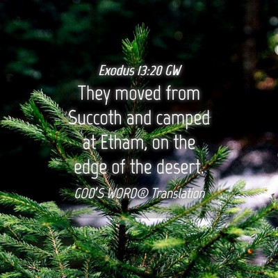 Picture 04 - Exodus 13:20 GW - They moved from Succoth and camped at Etham, on - Bible Verse Picture