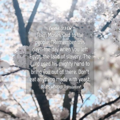 Picture 04 - Exodus 13:3 GW - Then Moses said to the people, “Remember this - Bible Verse Picture