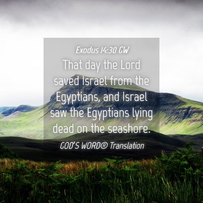 Picture 04 - Exodus 14:30 GW - That day the Lord saved Israel from the - Bible Verse Picture