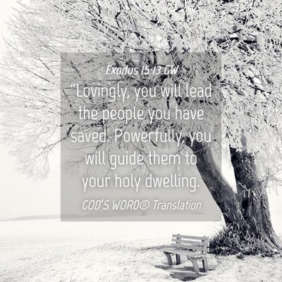 Picture 04 - Exodus 15:13 GW - “Lovingly, you will lead the people you have - Bible Verse Picture