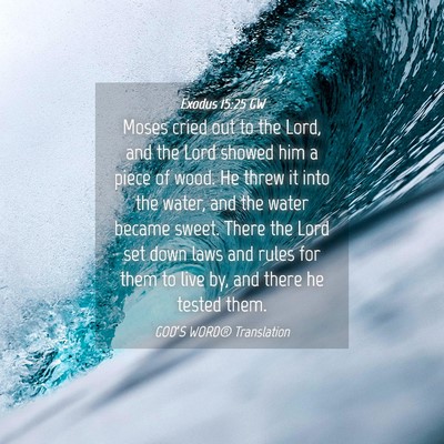 Picture 04 - Exodus 15:25 GW - Moses cried out to the Lord, and the Lord showed - Bible Verse Picture
