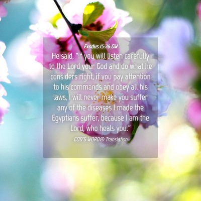 Picture 04 - Exodus 15:26 GW - He said, “If you will listen carefully to the - Bible Verse Picture