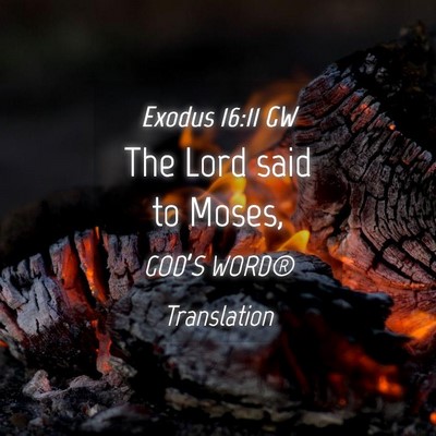 Picture 04 - Exodus 16:11 GW - The Lord said to - Bible Verse Picture