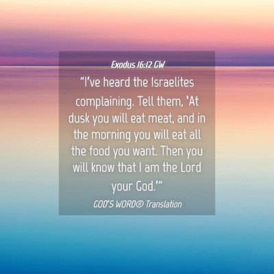 Picture 04 - Exodus 16:12 GW - “I’ve heard the Israelites complaining. Tell - Bible Verse Picture