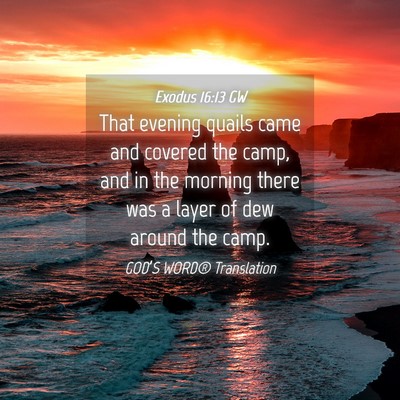 Picture 04 - Exodus 16:13 GW - That evening quails came and covered the camp, - Bible Verse Picture