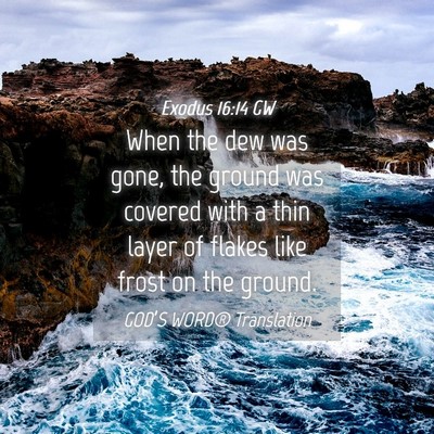 Picture 04 - Exodus 16:14 GW - When the dew was gone, the ground was covered - Bible Verse Picture