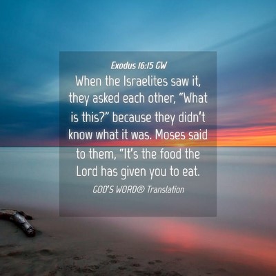 Picture 04 - Exodus 16:15 GW - When the Israelites saw it, they asked each - Bible Verse Picture