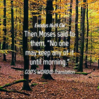 Picture 04 - Exodus 16:19 GW - Then Moses said to them, “No one may keep any - Bible Verse Picture