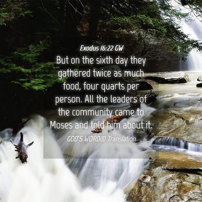 Picture 04 - Exodus 16:22 GW - But on the sixth day they gathered twice as much - Bible Verse Picture