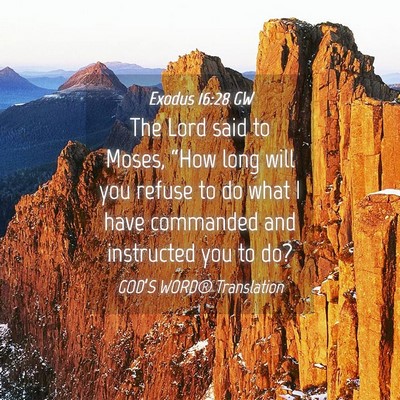 Picture 04 - Exodus 16:28 GW - The Lord said to Moses, “How long will you - Bible Verse Picture