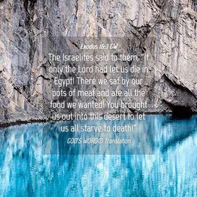 Picture 04 - Exodus 16:3 GW - The Israelites said to them, “If only the Lord - Bible Verse Picture