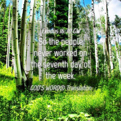 Picture 04 - Exodus 16:30 GW - So the people never worked on the seventh day of - Bible Verse Picture