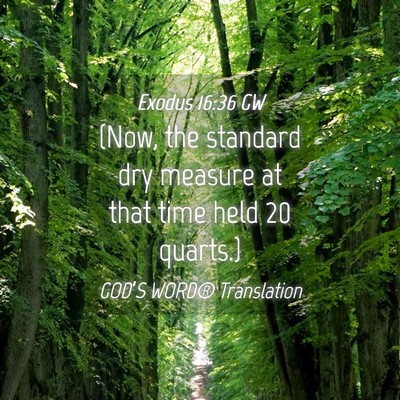 Picture 04 - Exodus 16:36 GW - (Now, the standard dry measure at that time held - Bible Verse Picture