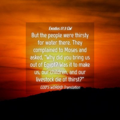 Picture 04 - Exodus 17:3 GW - But the people were thirsty for water there. They - Bible Verse Picture