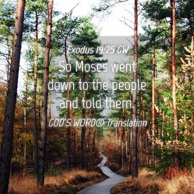 Picture 04 - Exodus 19:25 GW - So Moses went down to the people and told - Bible Verse Picture