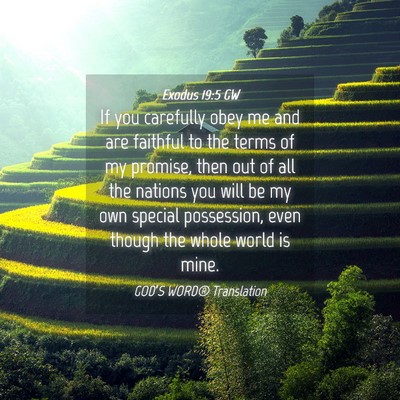 Picture 04 - Exodus 19:5 GW - If you carefully obey me and are faithful to the - Bible Verse Picture