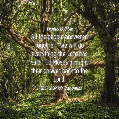 Picture 04 - Exodus 19:8 GW - All the people answered together, “We will do - Bible Verse Picture