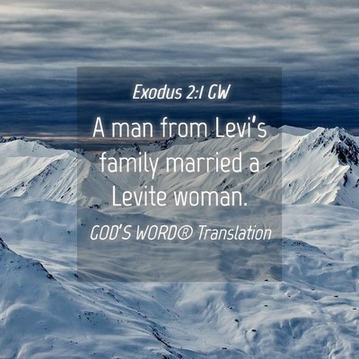 Picture 04 - Exodus 2:1 GW - A man from Levi’s family married a Levite - Bible Verse Picture