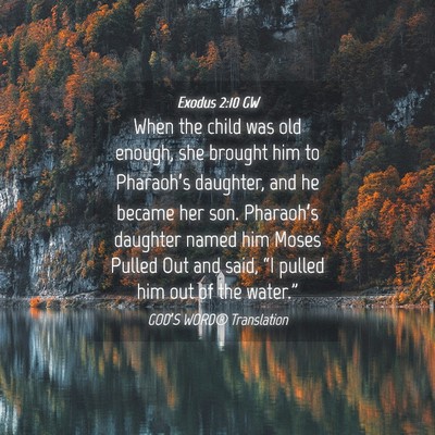 Picture 04 - Exodus 2:10 GW - When the child was old enough, she brought him to - Bible Verse Picture