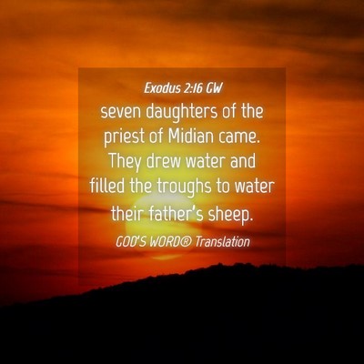 Picture 04 - Exodus 2:16 GW - seven daughters of the priest of Midian came. - Bible Verse Picture