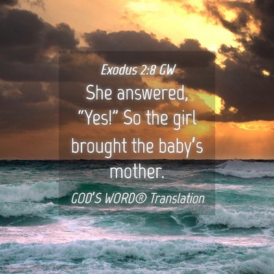 Picture 04 - Exodus 2:8 GW - She answered, “Yes!” So the girl brought the - Bible Verse Picture