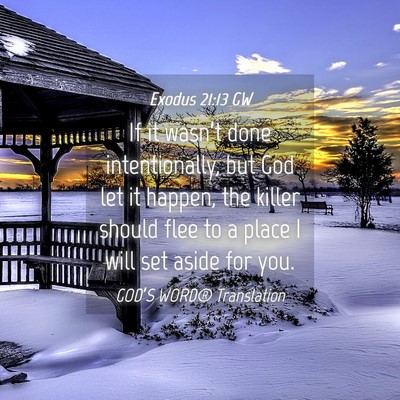 Picture 04 - Exodus 21:13 GW - If it wasn’t done intentionally, but God let it - Bible Verse Picture